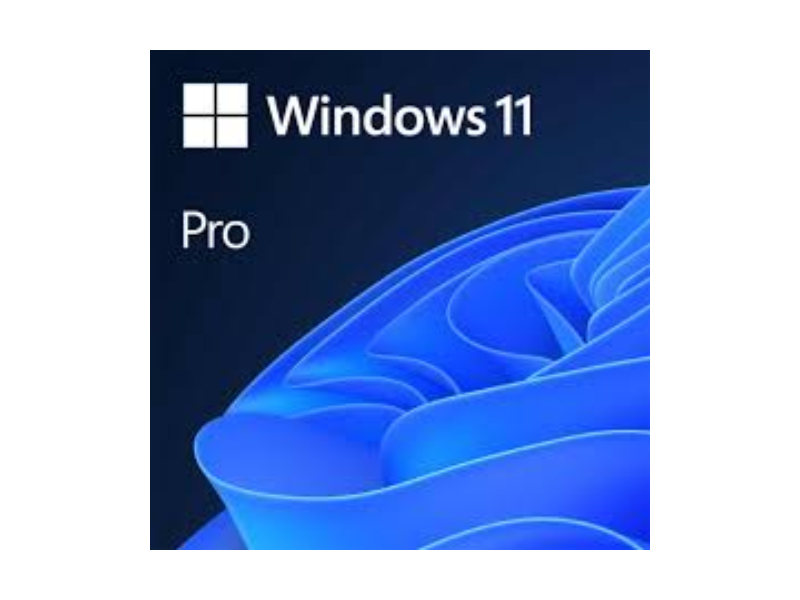 SW MS WINDOWS 11 PRO 64bit  ESD
