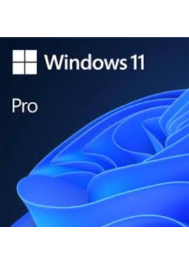 SW MS WINDOWS 11 PRO 64bit  ESD