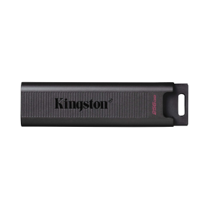 PEN DRIVE 256GB KINGSTON DTMAX USBC