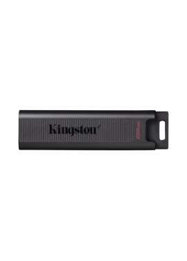 PEN DRIVE 256GB KINGSTON DTMAX USBC