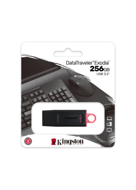 PEN DRIVE 256GB KINGSTON DTX EXODIA